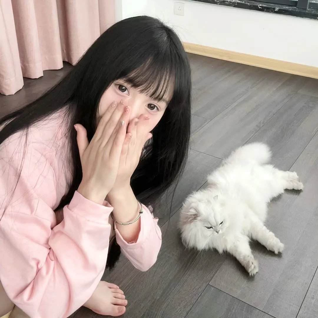画中仙